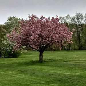 Meet your Posher, Kris